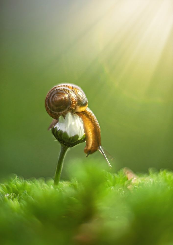 Photograph by Владимир Жуков