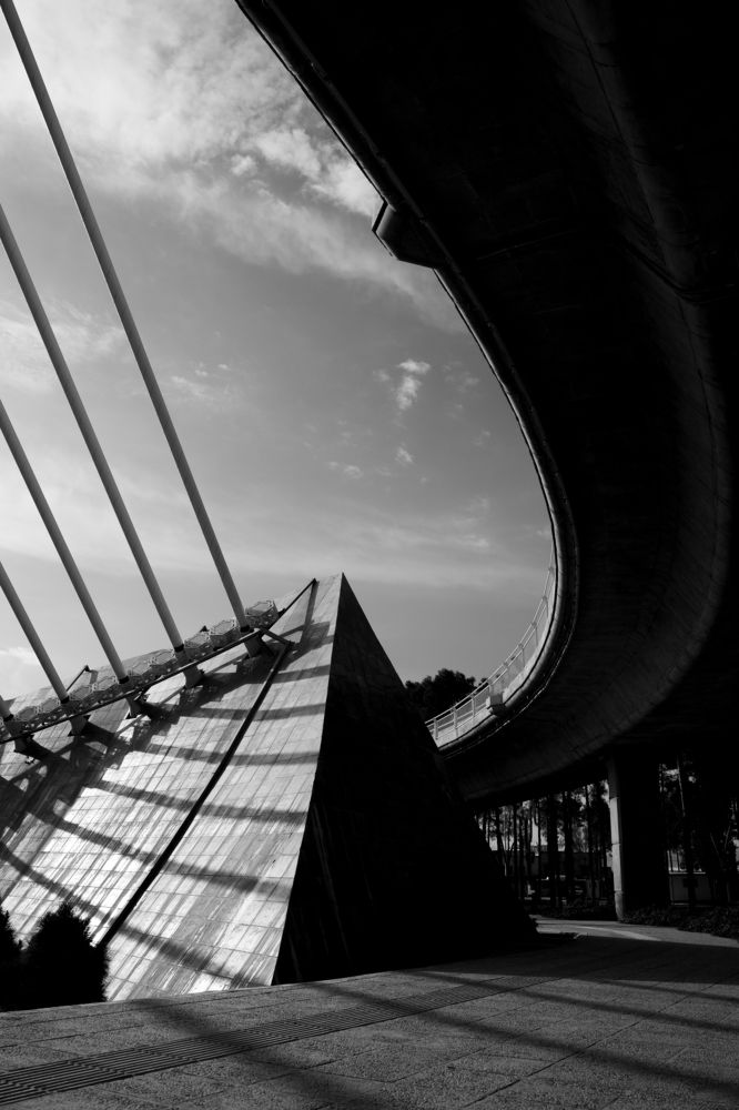 Photograph by mohammad kazemi