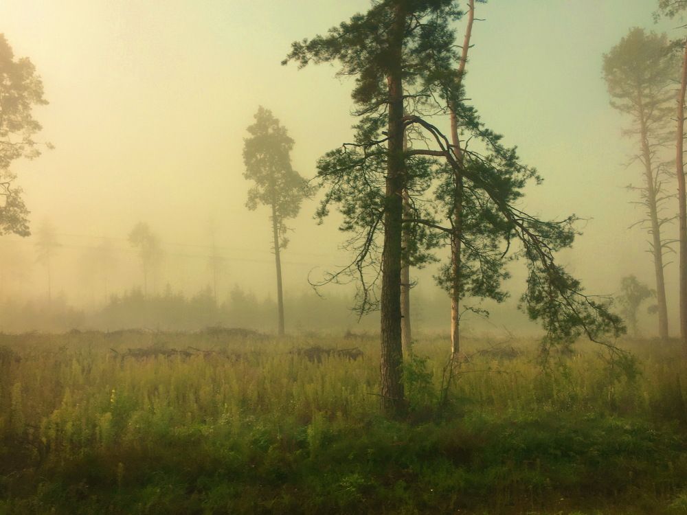 Photograph by Валерий Козуб