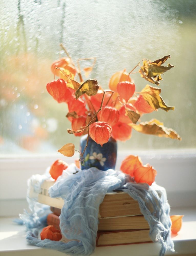 Photograph by Ольга Резникова