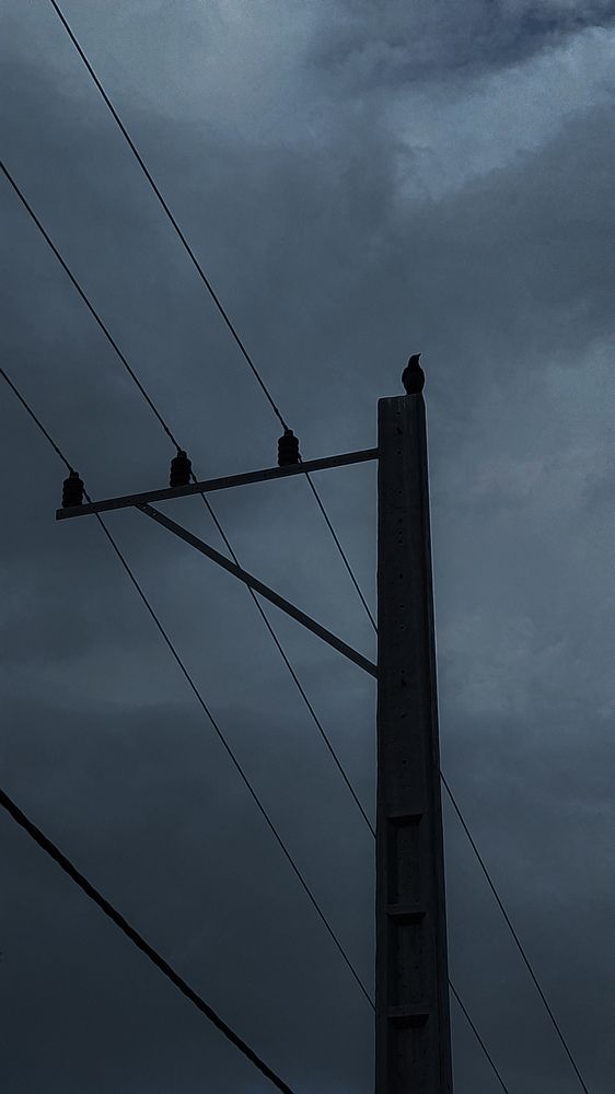 Photograph by صدرا