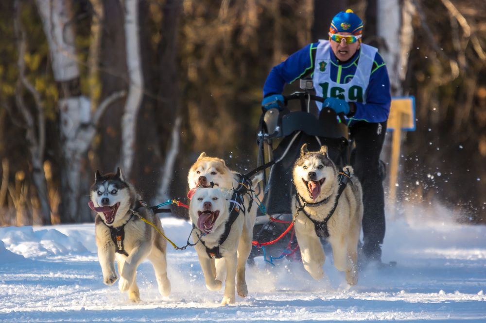 Photograph by Жданов Дмитрий