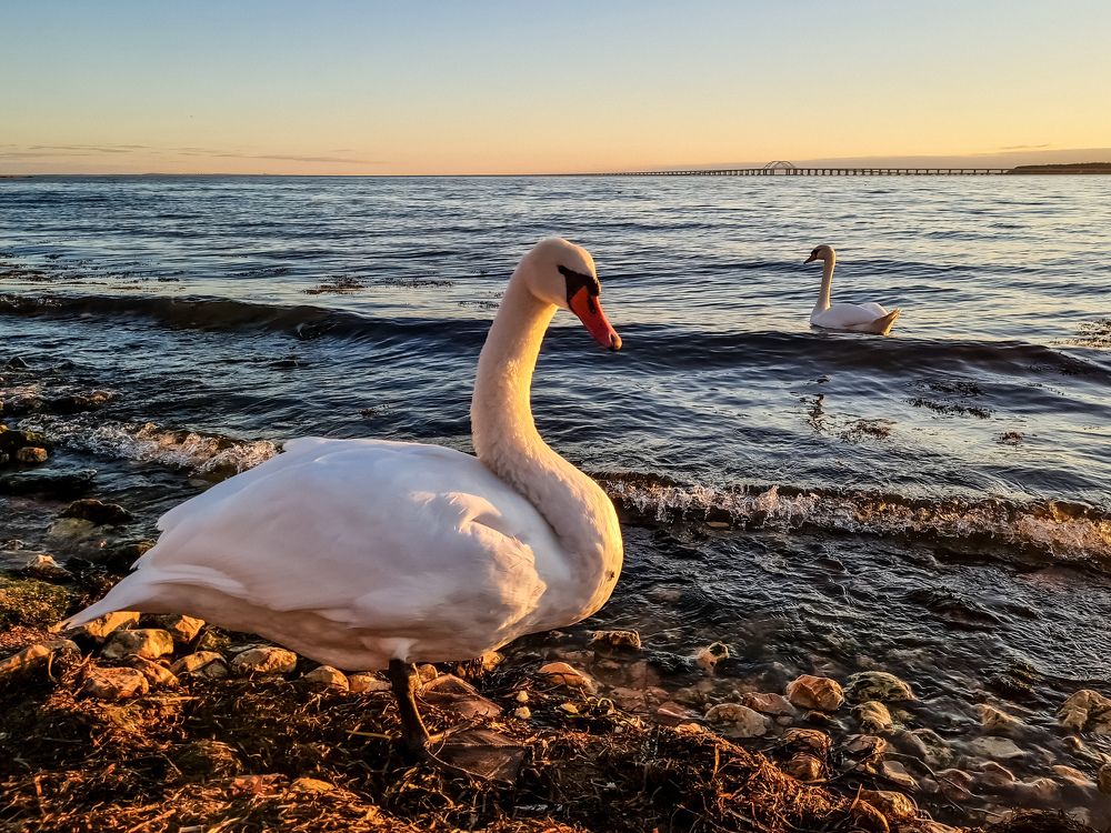 Photograph by Лариса Когтева