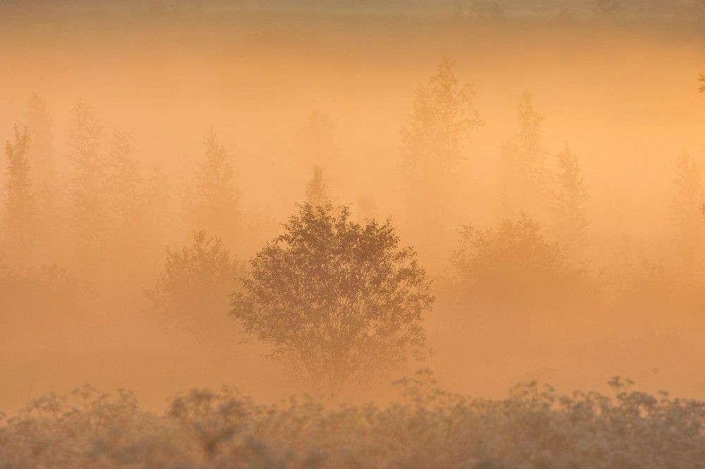 Photograph by Юрий Яковлев