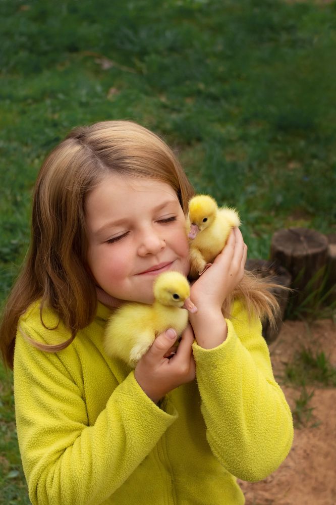 Photograph by Ольга Листратова