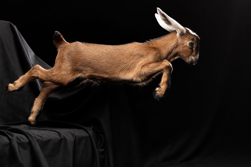 Photograph by Светлана Писарева