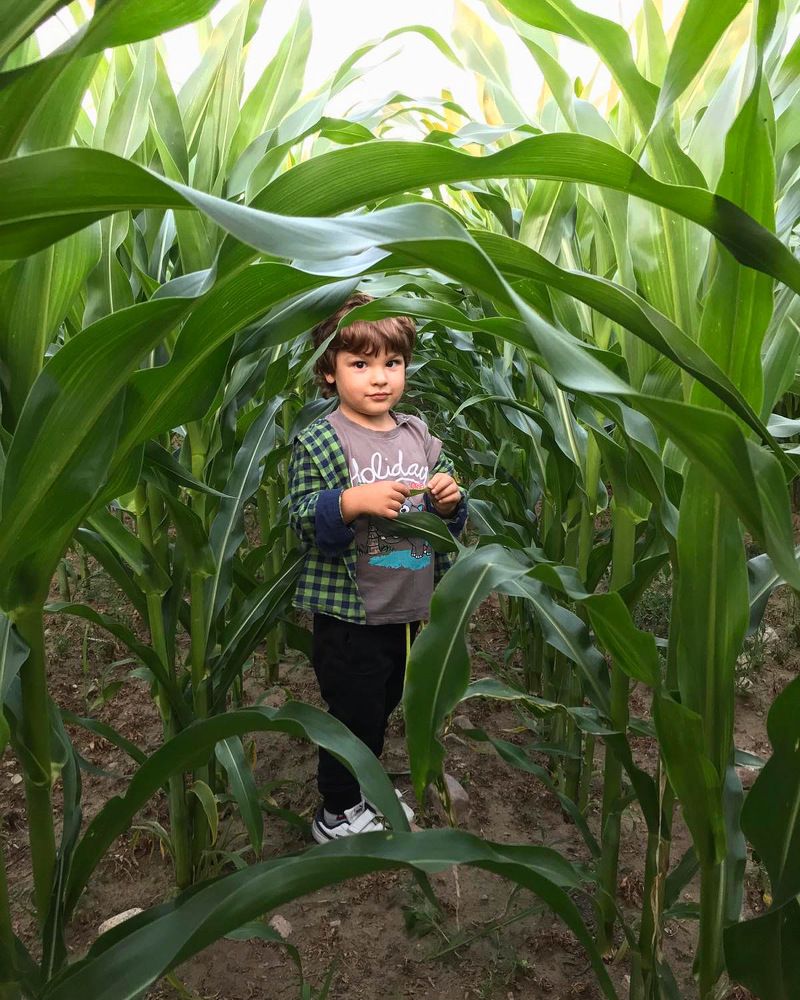 Игры в прятки