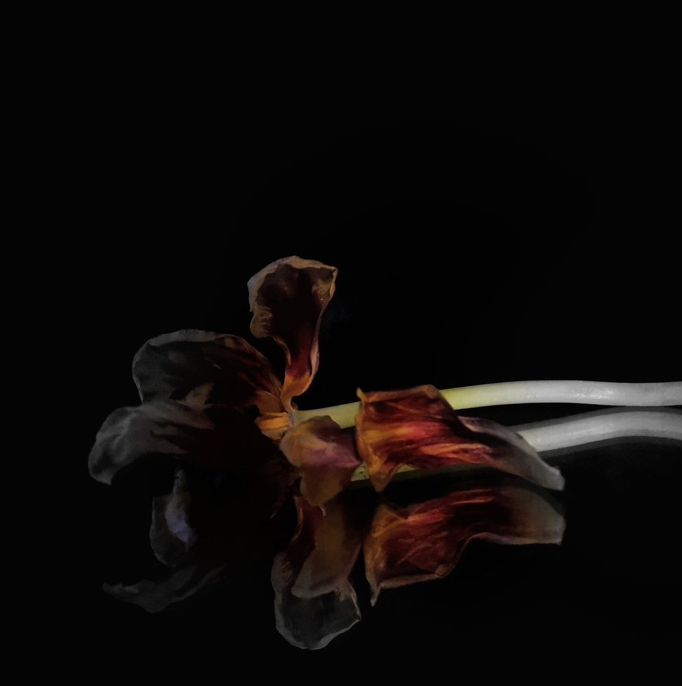 Photograph by Валерия Марцинковская