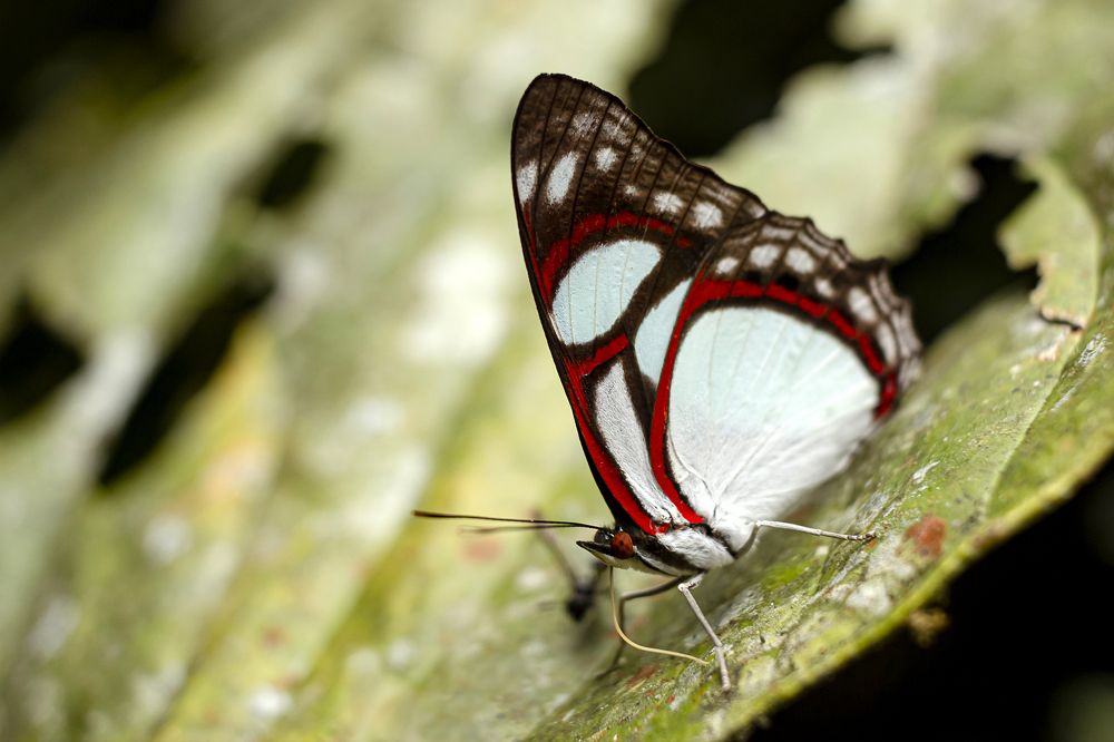 Photograph by Maria de los Angeles Osorio