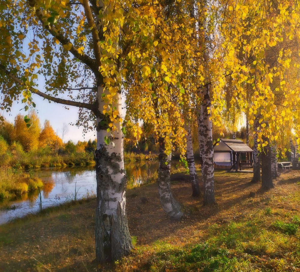 Золотая осень