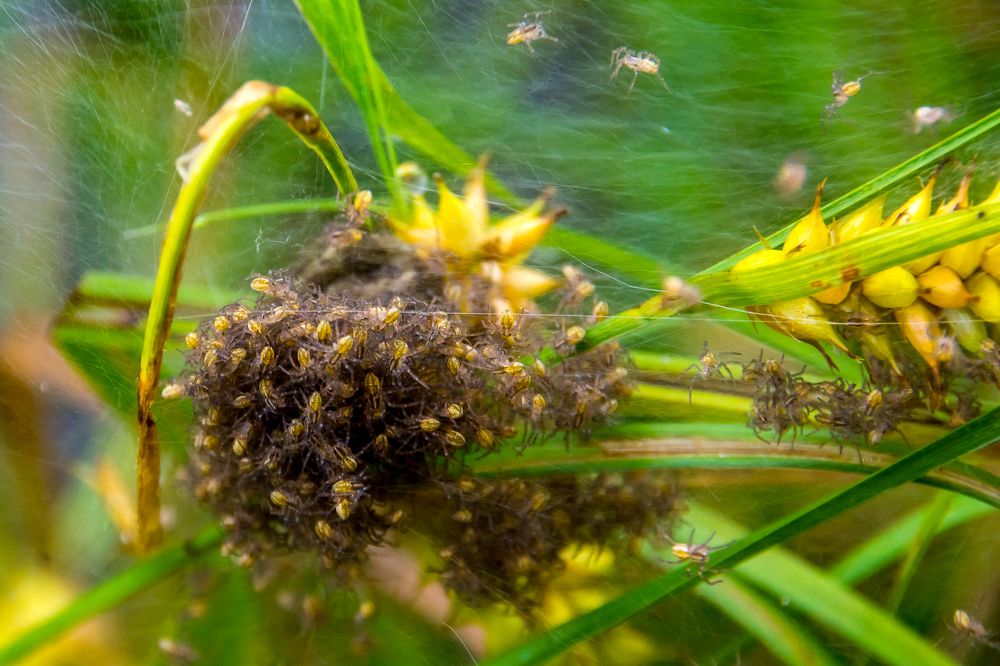 Photograph by Жданов Дмитрий