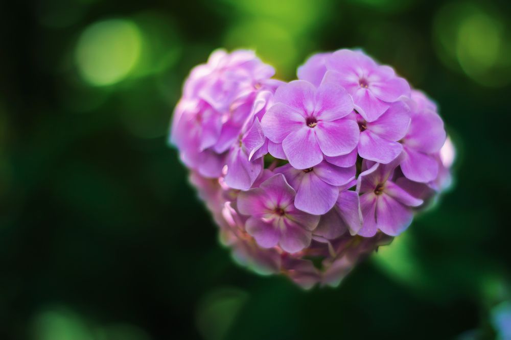 Photograph by Ксения Харитова