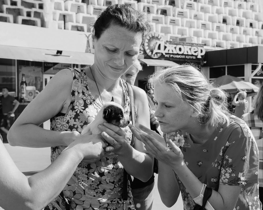 Фотография автора Алла Антонова