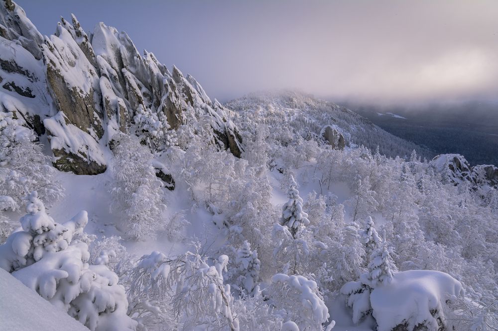 По склонам заснеженных гор.