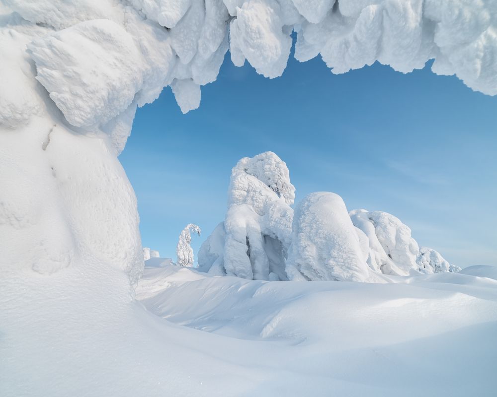 Photograph by Евгений Антонов