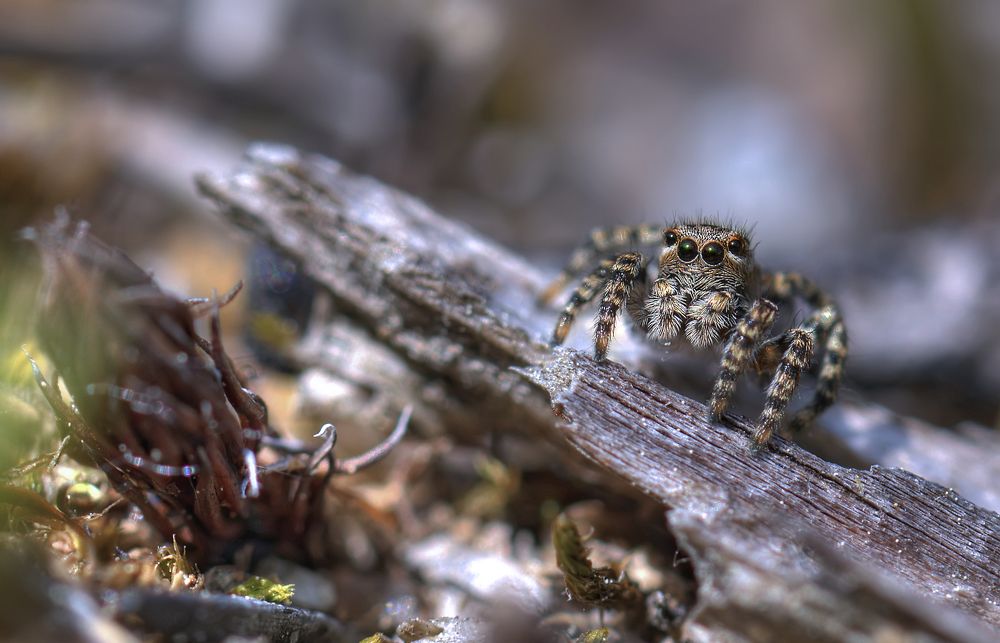 Photograph by НиКоЛаЙ