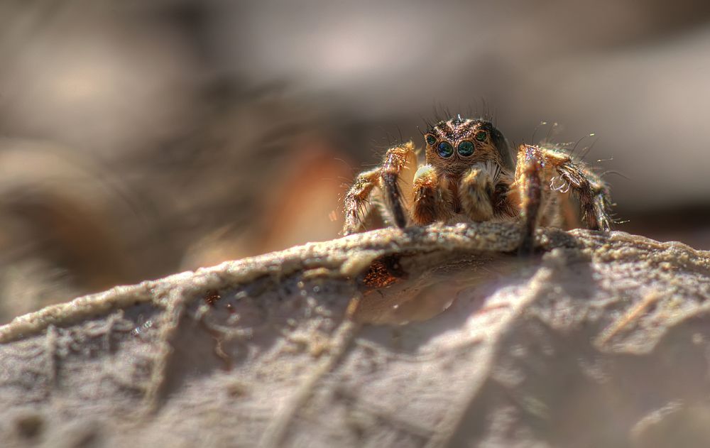 Photograph by НиКоЛаЙ