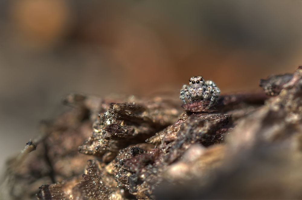 Photograph by НиКоЛаЙ