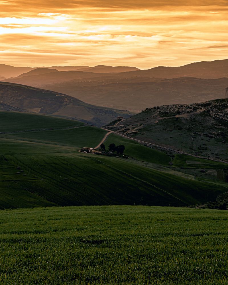 Photograph by Samir Meftah