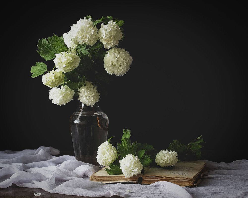 Photograph by Юлия Микульская