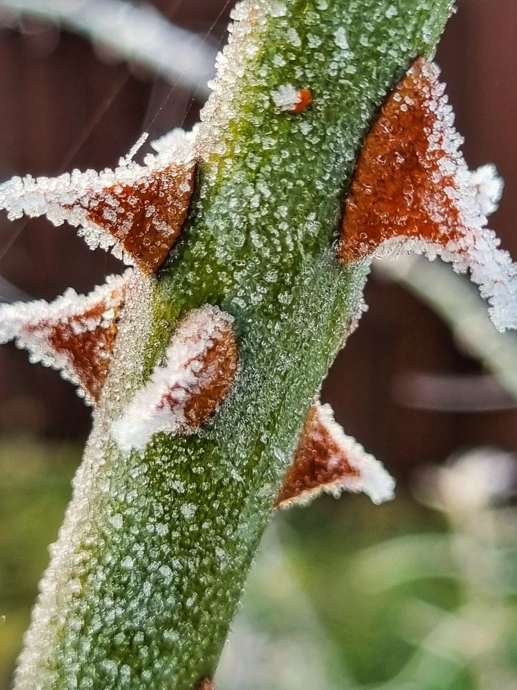 Photograph by Полина Карпова