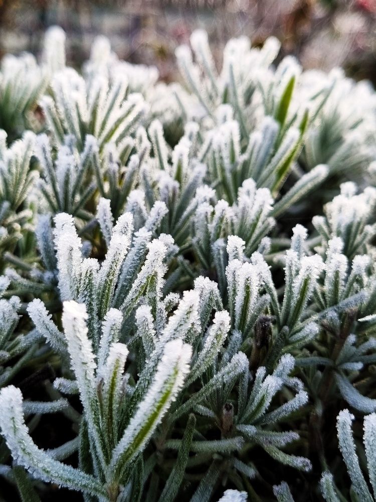 Photograph by Полина Карпова