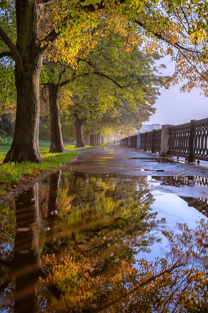 После теплого осеннего дождя. After a warm autumn rain.