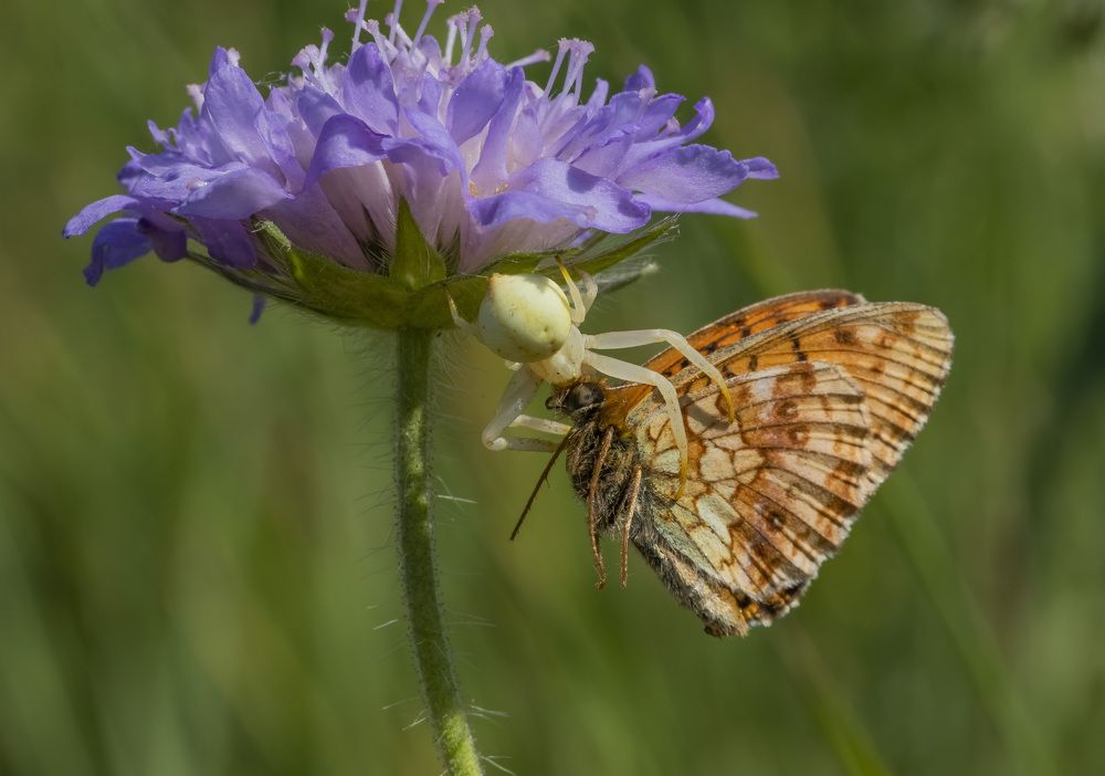 Photograph by Юлия Микульская