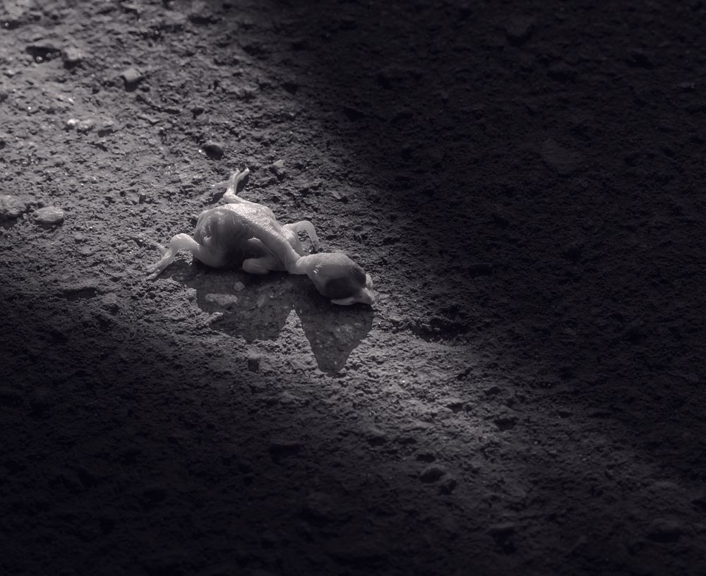 Photograph by Ольга Сербина