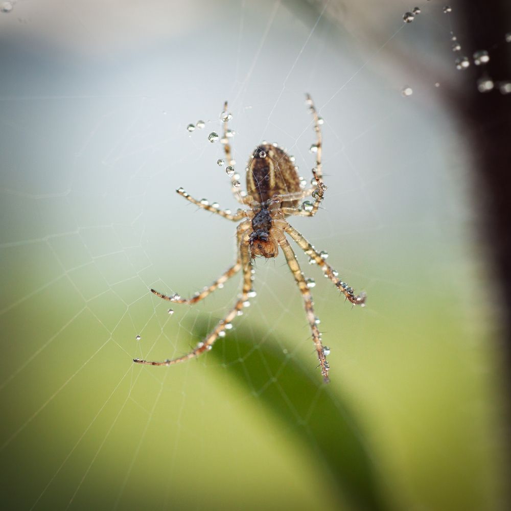 Photograph by Юлия Микульская