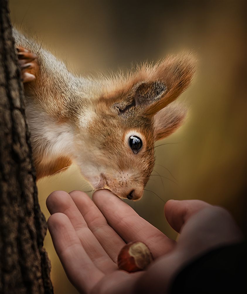 Photograph by Ольга Сербина