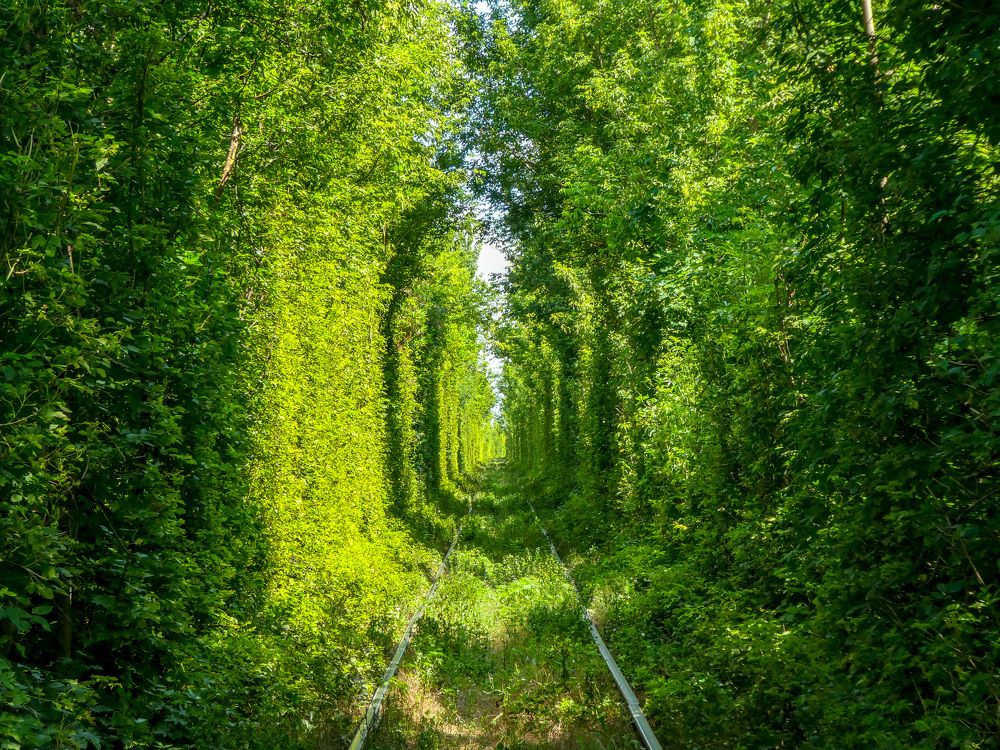 Photograph by Евгений