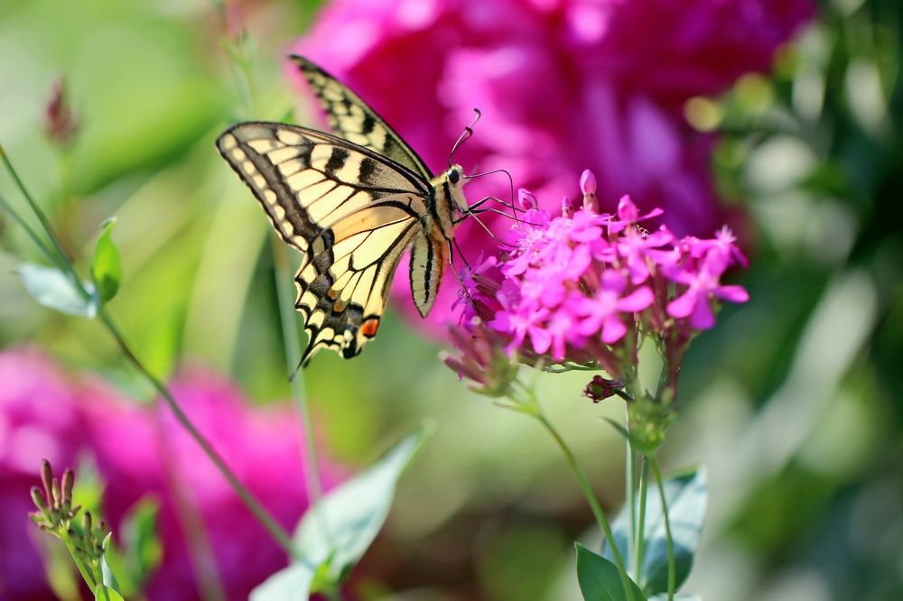 Photograph by Любовь Саханова