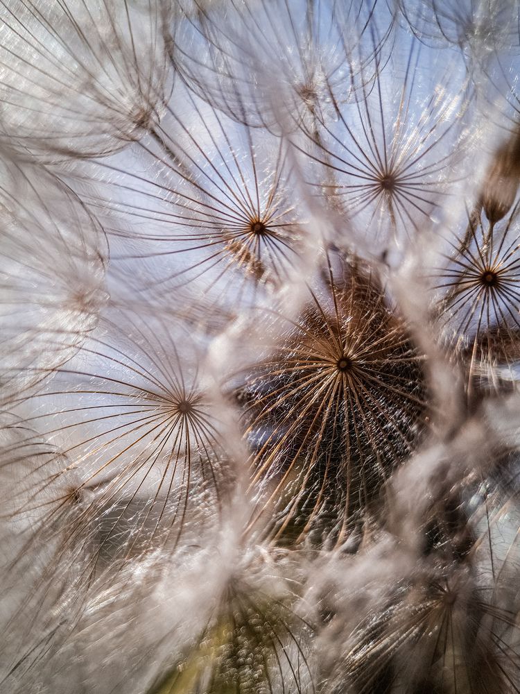 Photograph by Лариса Когтева