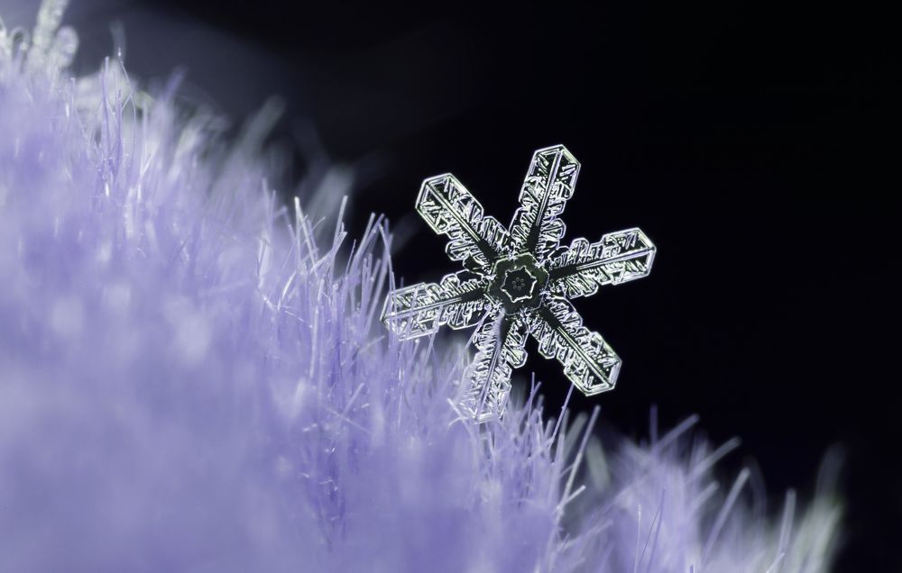 Photograph by Людмила Гудина