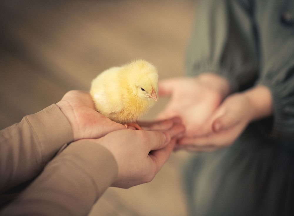 Мечты сбываются