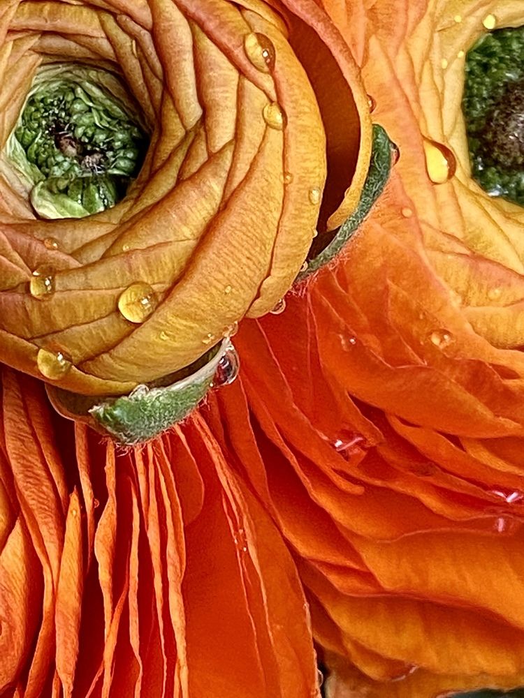 Photograph by Наталья