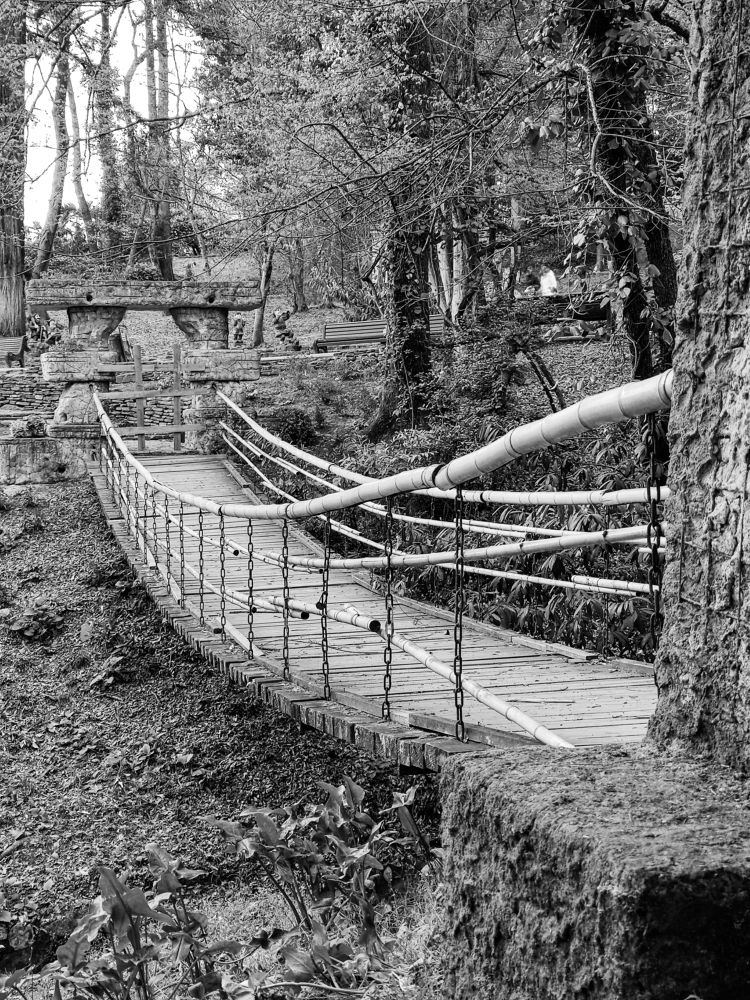 Photograph by Екатерина Зубарева