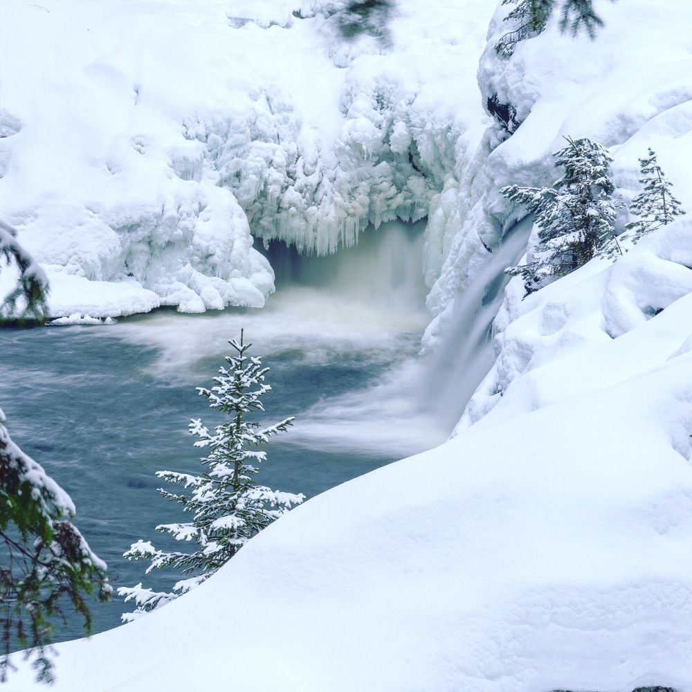 Photograph by Алена Устинович