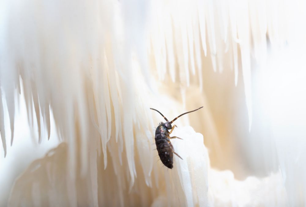 Photograph by Людмила Гудина