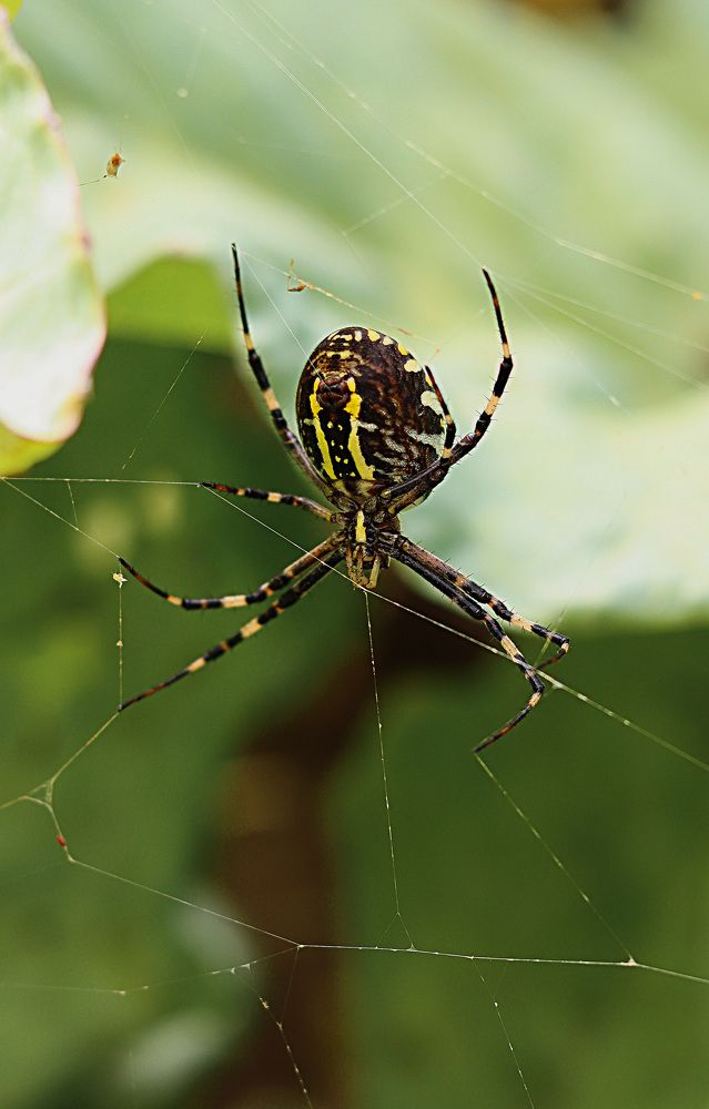 Photograph by Мария Некрасова