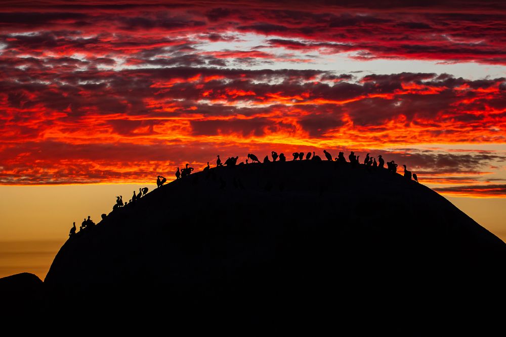Закаты в ЮАР на океане