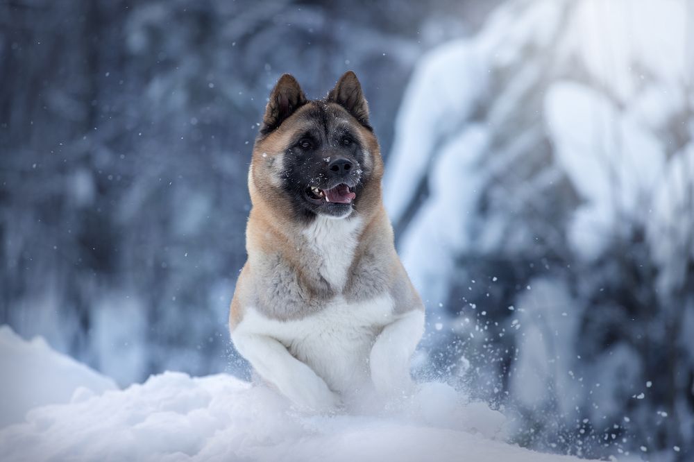 Photograph by Светлана Писарева