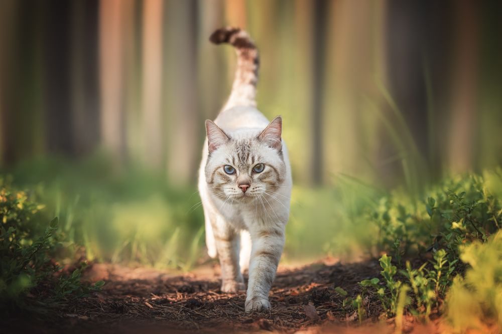 Photograph by Светлана Федоренко