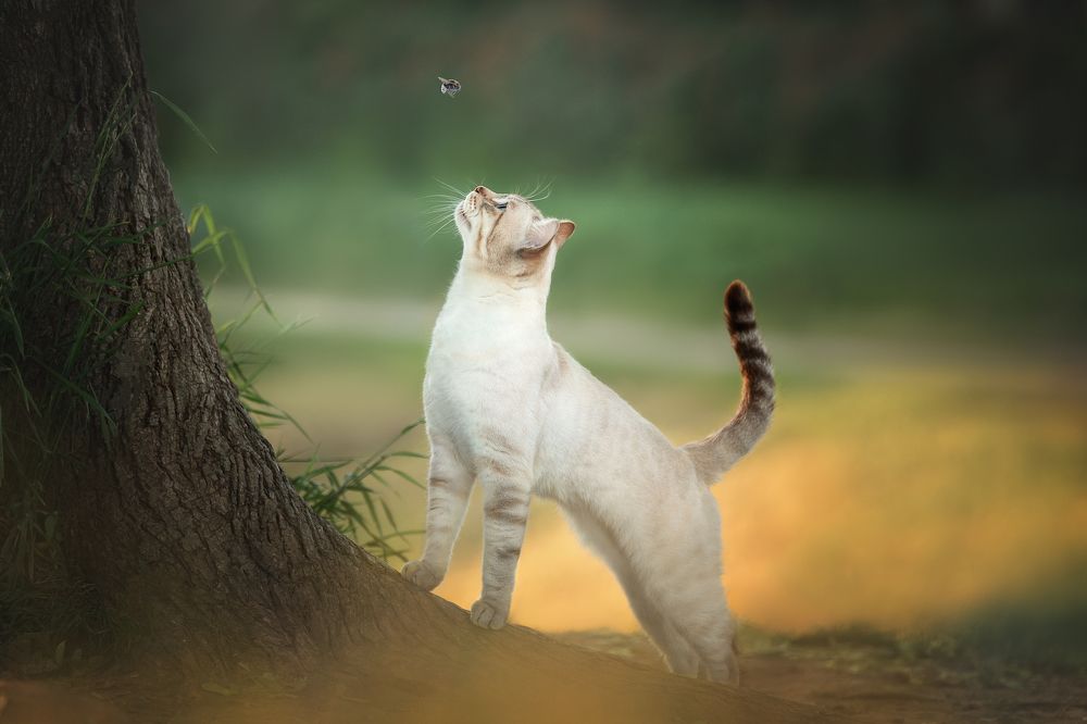 Photograph by Светлана Федоренко