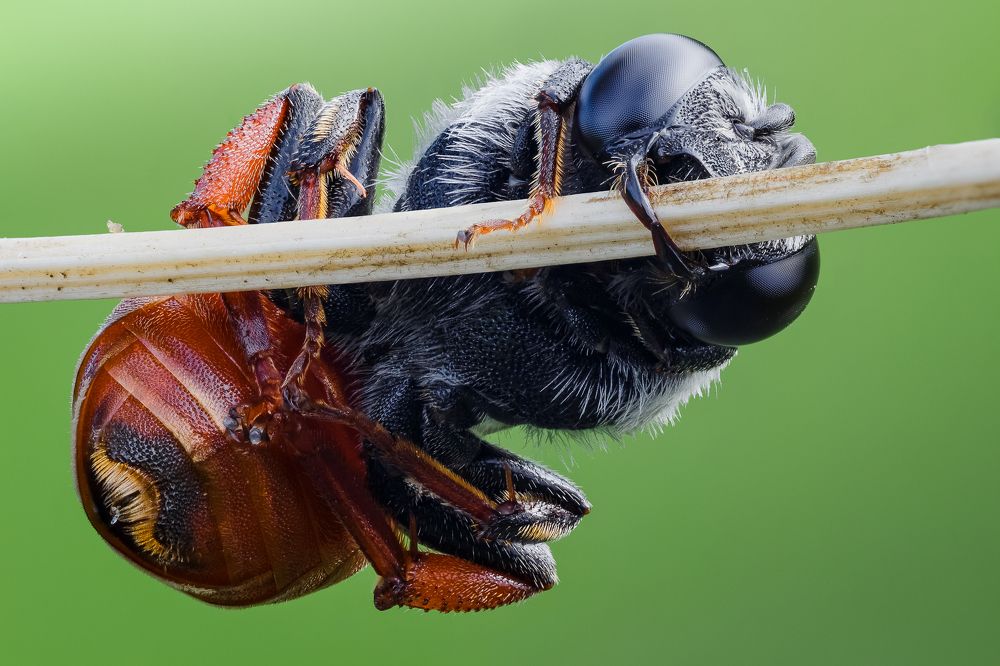 Photograph by Максим Сумской