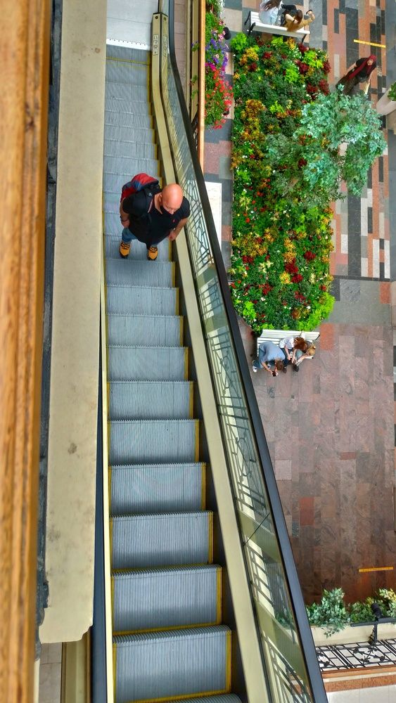 Движение вверх. Или вниз? Upward movement. Or down?