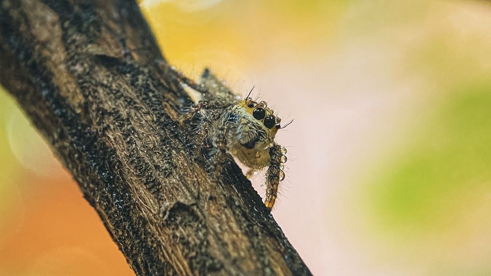 Photograph by Ekra Tasfia