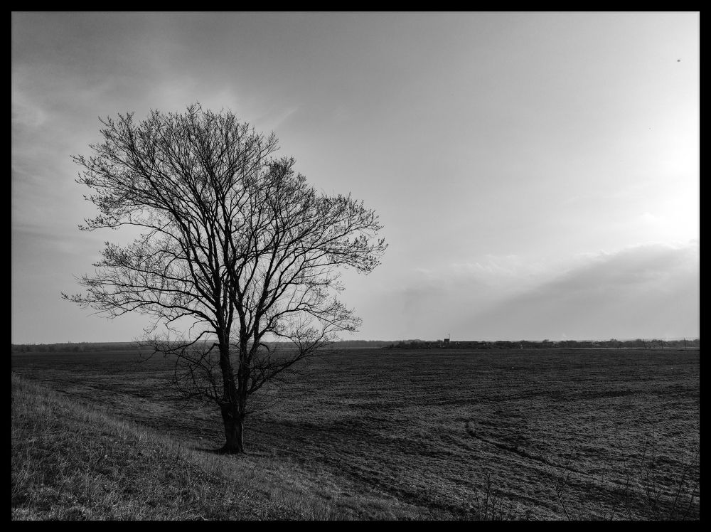 Photograph by Никита Антонов