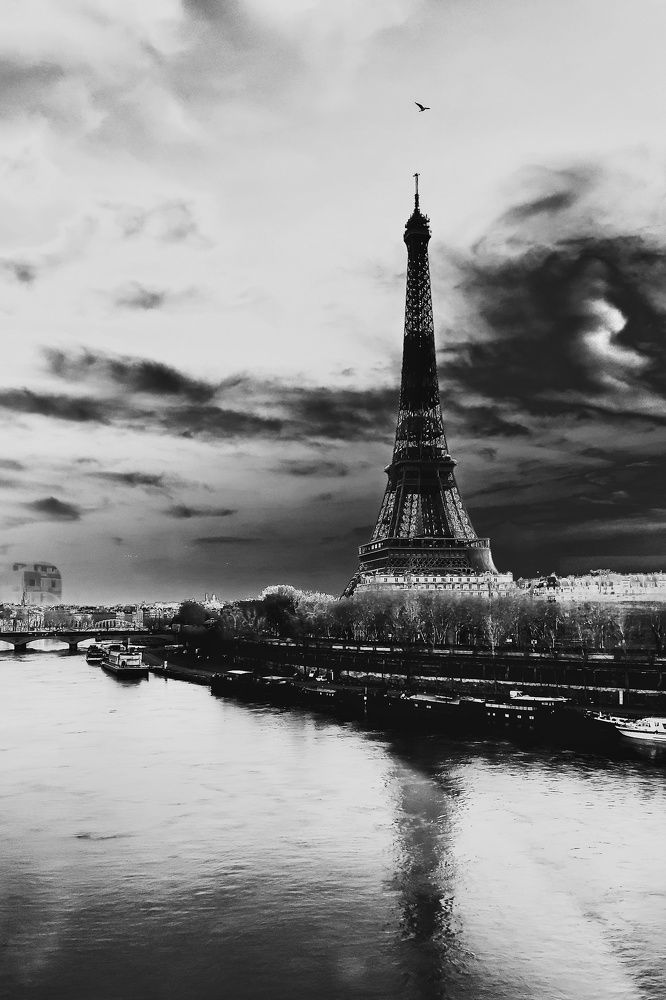 Фотография автора Toma Bervetsky